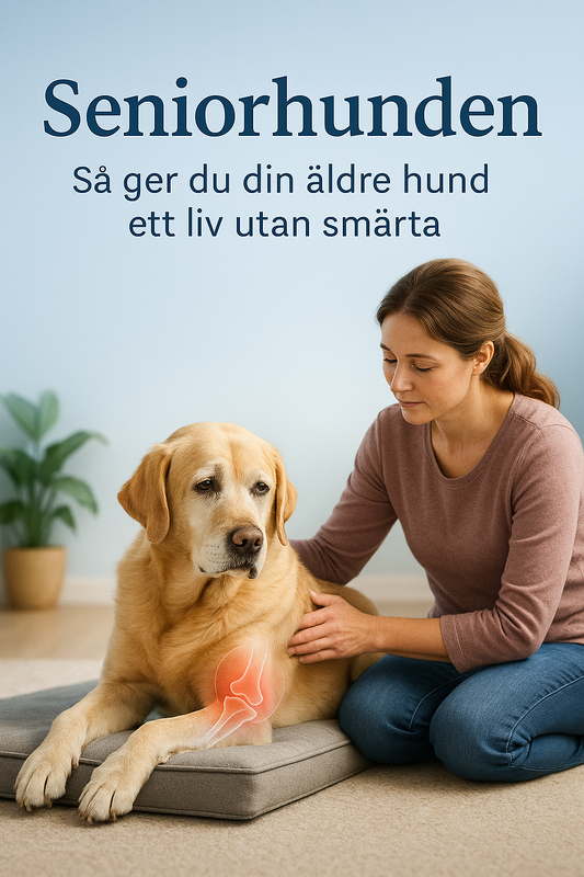 Seniorhunden