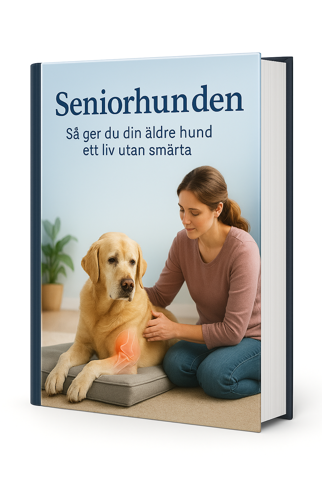 Seniorhunden